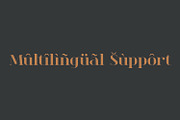 Cecilia | Fancy Serif Family, a Serif Font by MchCrafter (Thumbnail 15 of 15)