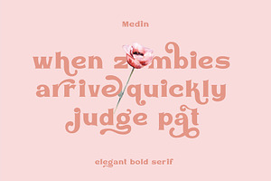 VT Medin - Elegant Bold Serif