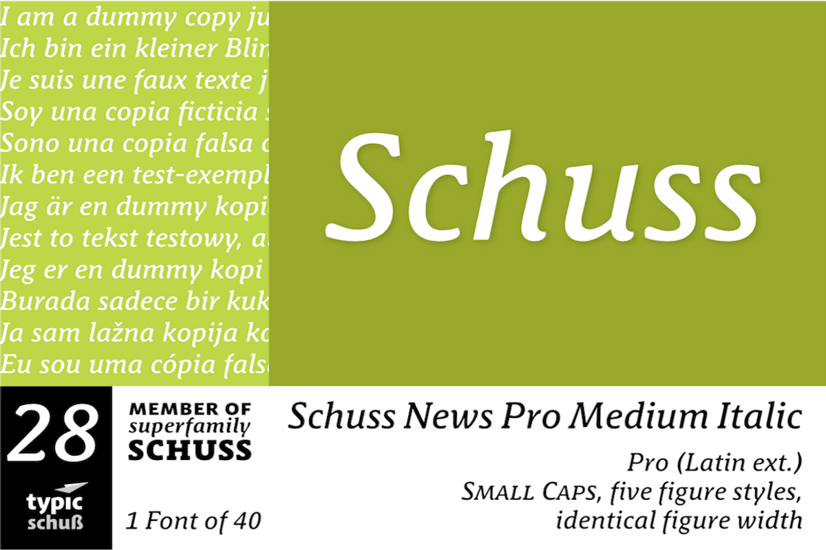 SchussNewsProMedIta No. 28 (1 Font)