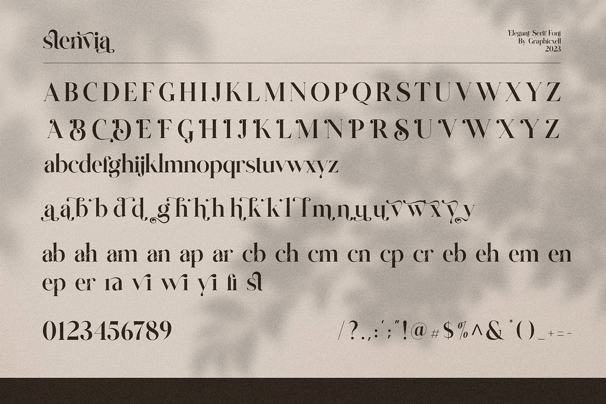 Stenvia Ligature Serif Font Typeface, a Serif Font by Graphicxell (Photo 10 of 10)