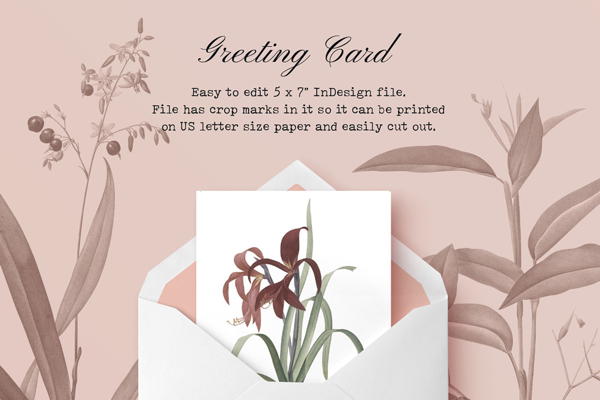 Les liliacees Flowers, an Illustration by Cody Dennison (Photo 5 of 5)