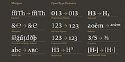Mangan, a Serif Font by Hoftype (Thumbnail 4 of 6)