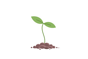 Young Plant Sprout, an Illustration by Ilia Design