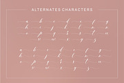Ambition Bright, a Script Font by Artic Type (Thumbnail 8 of 9)