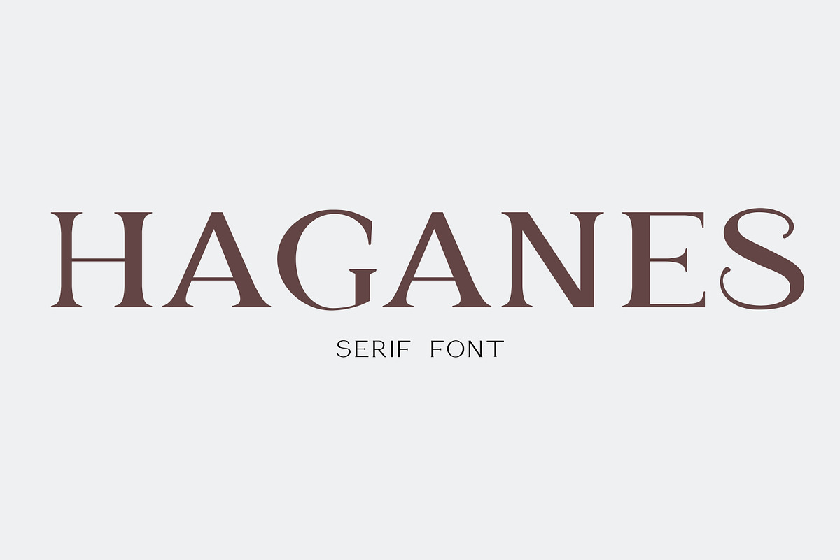 Haganes - Serif font, a Serif Font by Art pages (Photo 1 of 9)