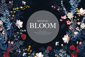 Midnight Bloom