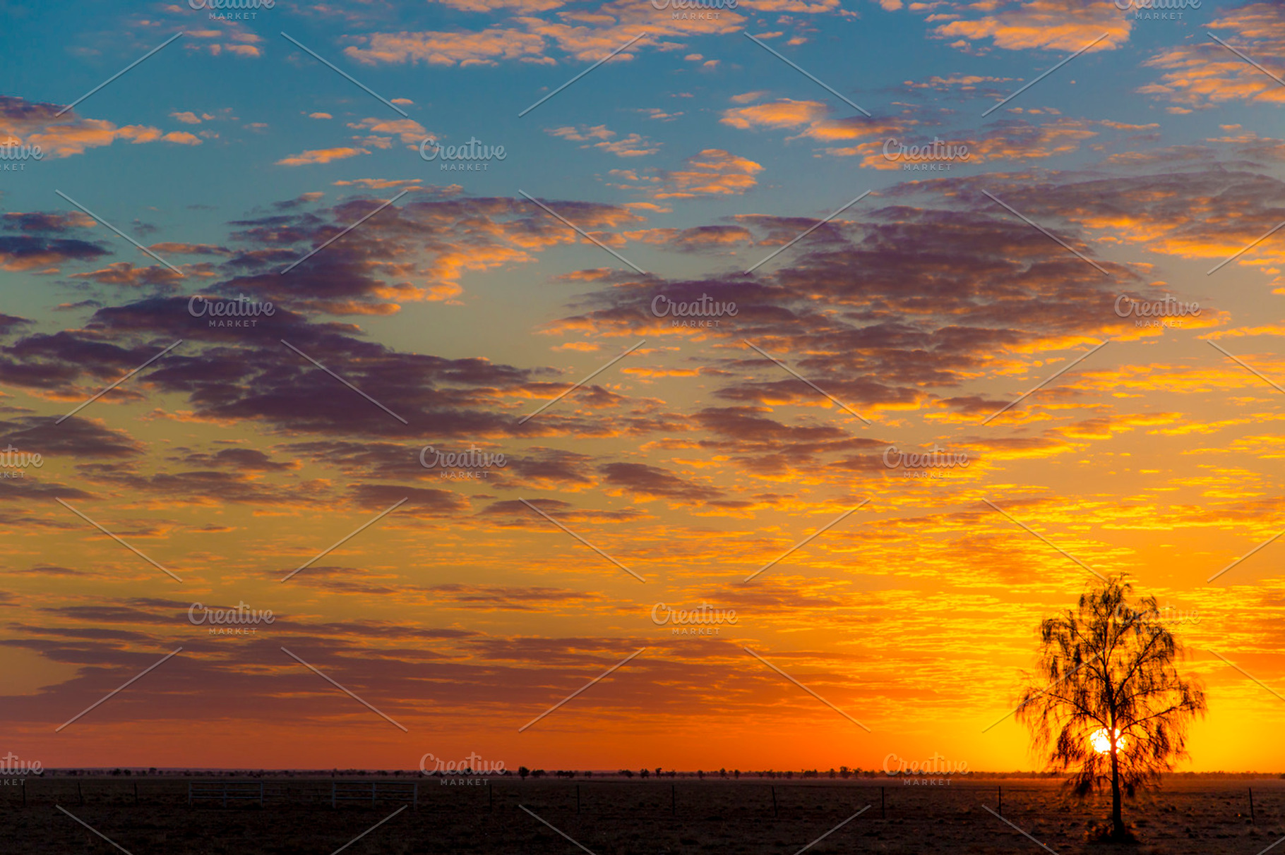 Sunrising