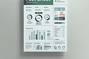 Company Fact Sheet, a Stationery Template by MightyDesign (Thumbnail 3 of 8)