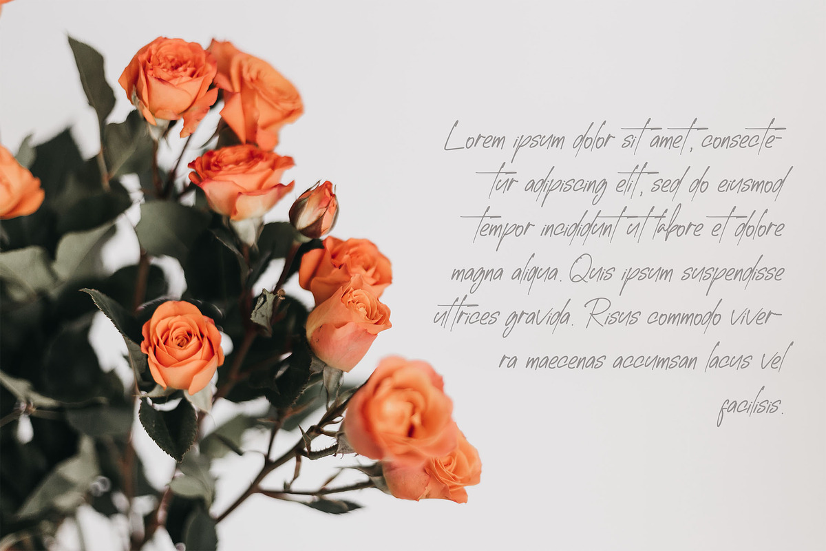 Westavia Handwriting Font, a Script Font by NTC Graphic (Photo 4 of 7)