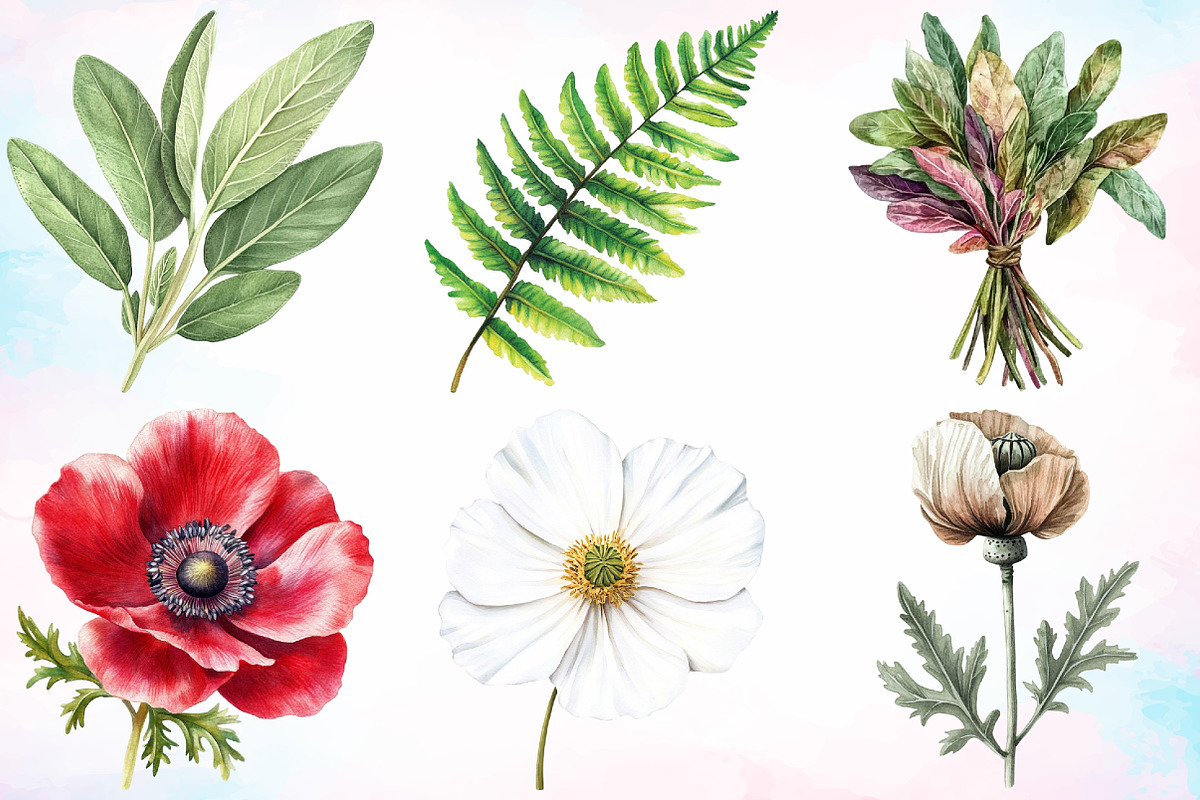 Watercolor Vintage Botanical Clipart, an Illustration by Canvas Craft (Photo 2 of 3)