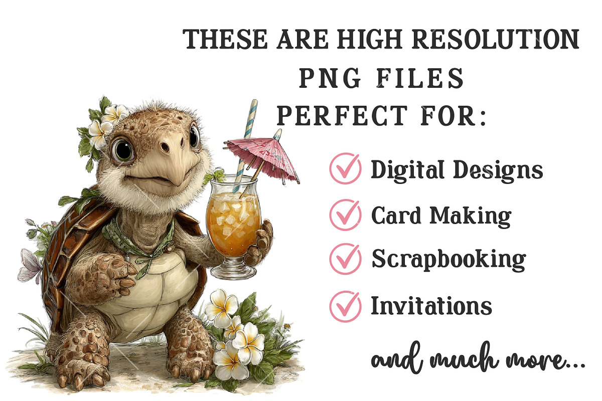 Whimsical Summer Turtle Clipart, an Illustration by OK Design (Photo 5 of 6)