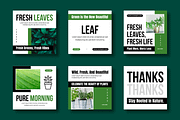 Botanical Social Media Post Template, a Social Media Template by MightyDesign (Thumbnail 1 of 8)