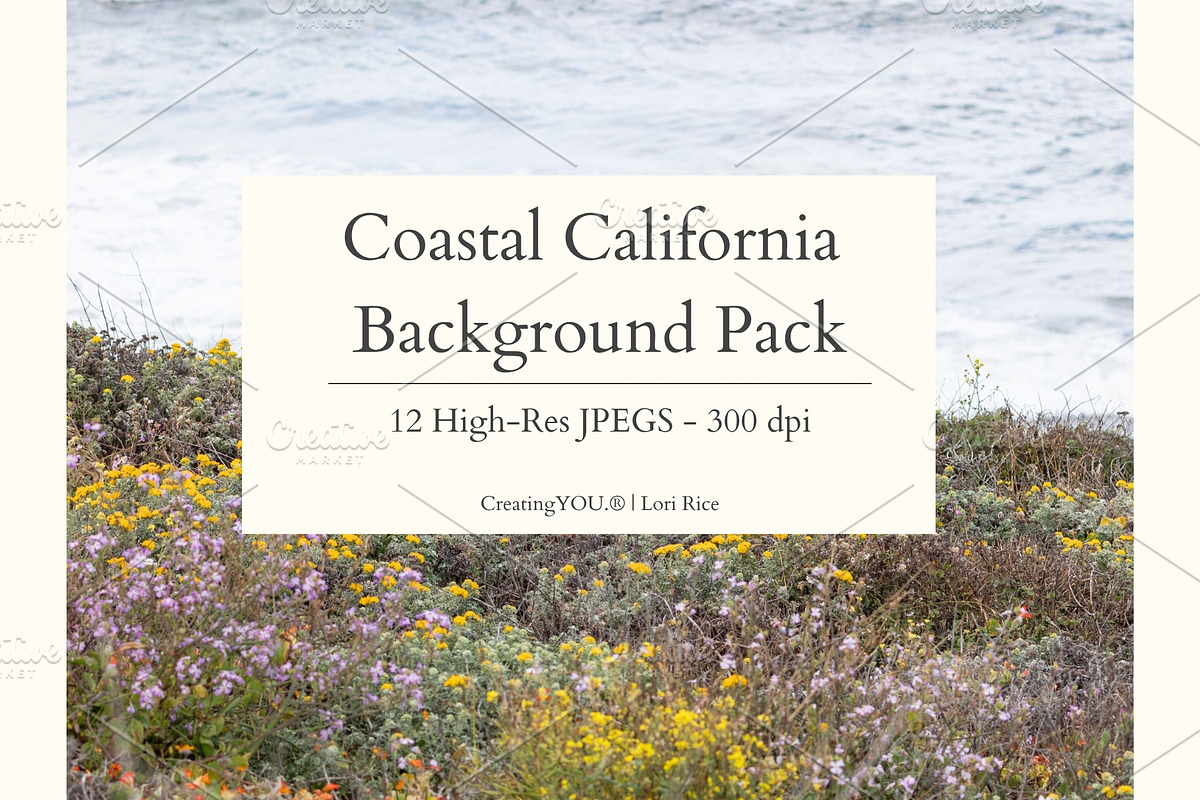 Coastal California Photo Backgrounds, a Background Photo by CreatingYOU.®, Lori Rice (Photo 1 of 5)