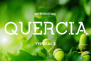 Quercia | Logo Stencil Slab Font