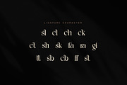 Ciesla Elegant Serif Font, a Serif Font by Graphicxell (Thumbnail 8 of 8)