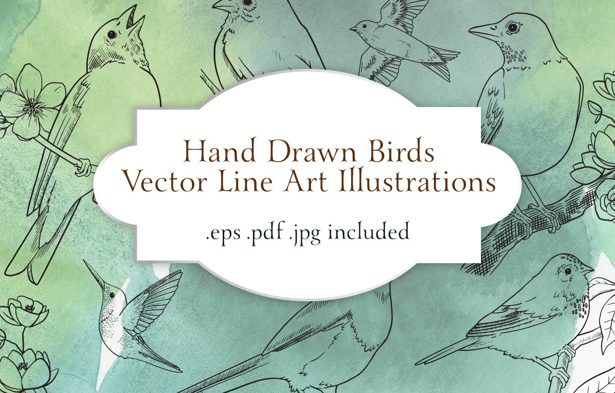 Vector Bird Line Art Illustrations, an Illustration by MyNatureGraphics