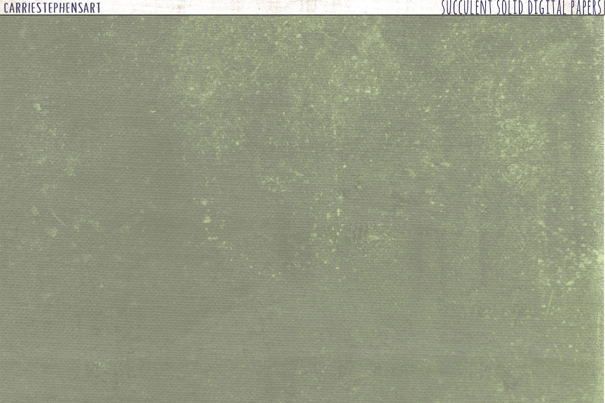 Succulent Solid Digital Backgrounds preview 7