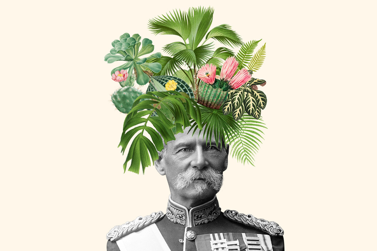 Vintage Collage Creator 1000+ Images, an Object Graphic by Collage Supply Co (Photo 11 of 21)