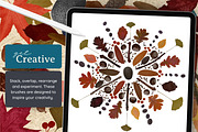Autumn Magic for Procreate, a Brush Add-On by AJ Brushes (Thumbnail 6 of 10)