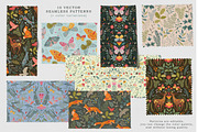 Forest Stories. Folk Collection, an Object Graphic by Molly art (Thumbnail 11 of 17)