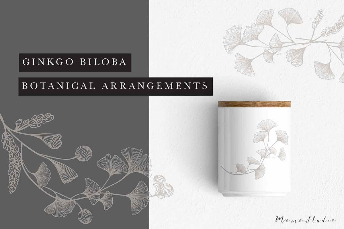 Ginkgo Botanicals - Florals & Leaves, an Illustration by Momo Studio (Photo 2 of 13)