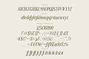 Scarlett Quistan Modern Serif Font, a Serif Font by Letterena Studios (Thumbnail 14 of 15)