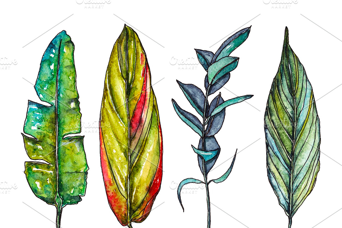 Watercolor palm leaves clipart, an Illustration by Watercolor_Vector Graphic (Photo 8 of 15)