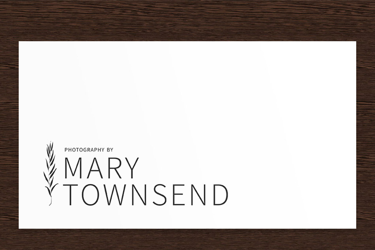 Mary Townsend Photography Logo PSD, a Branding & Logo Template by Studio 365 Designs (Photo 1 of 2)