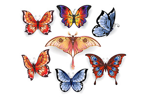 Set Of Bright Exotic Butterflies