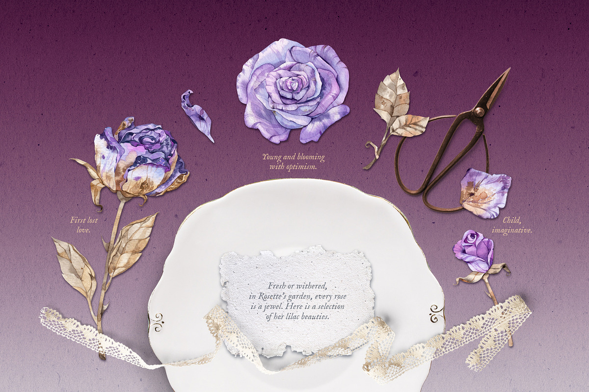 Purple Roses - Watercolour Clipart, a Decorative Illustration by Aquarellina (Photo 3 of 14)