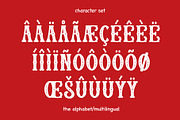 Circus Christmas Font - Fancy Font, a Serif Font by ariodsgn (Thumbnail 5 of 9)