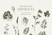 Botanical Imprints: Floral & Paper, an Object Graphic by Yuliya Derbisheva (Thumbnail 5 of 10)