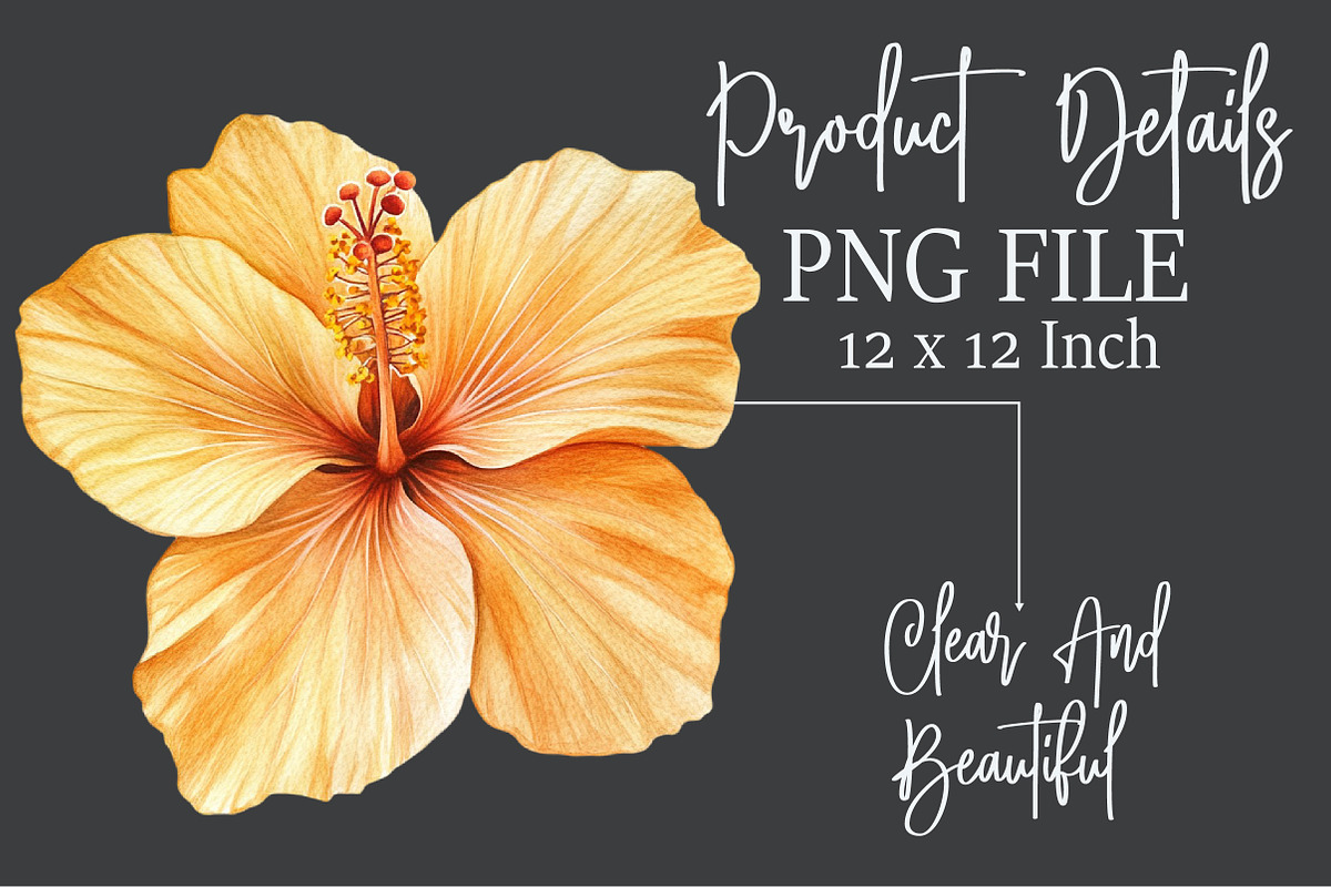 Watercolor Golden Flowers Clipart, an Illustration by Rose Art (Photo 7 of 7)