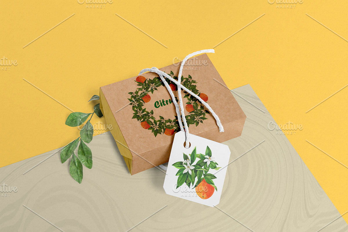Watercolor citrus collection, a Food Illustration by Watercolor & sketches (Photo 8 of 8)
