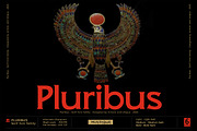Pluribus - Serif font family, a Serif Font by Artistic & Unique (Thumbnail 1 of 15)