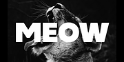 Neometric, a Sans Serif Font by TypeUnion (Thumbnail 12 of 14)