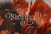 Elarose- Luxury Cinematic Serif Font, a Serif Font by Sensatype (Thumbnail 9 of 13)