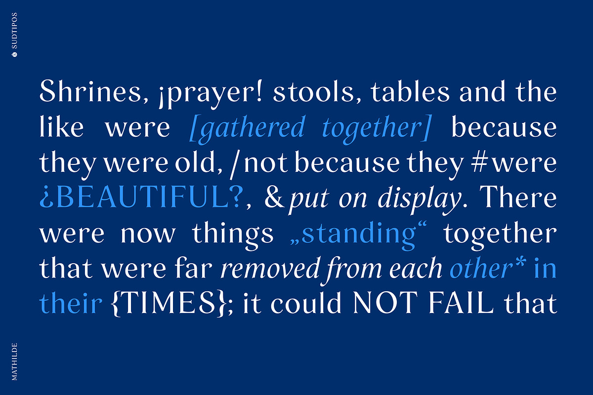 Mathilde, a Serif Font by Sudtipos (Photo 5 of 8)