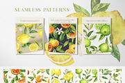Citrusy Fruits watercolor collection, a Decorative Illustration by Volha Studio (Thumbnail 9 of 10)