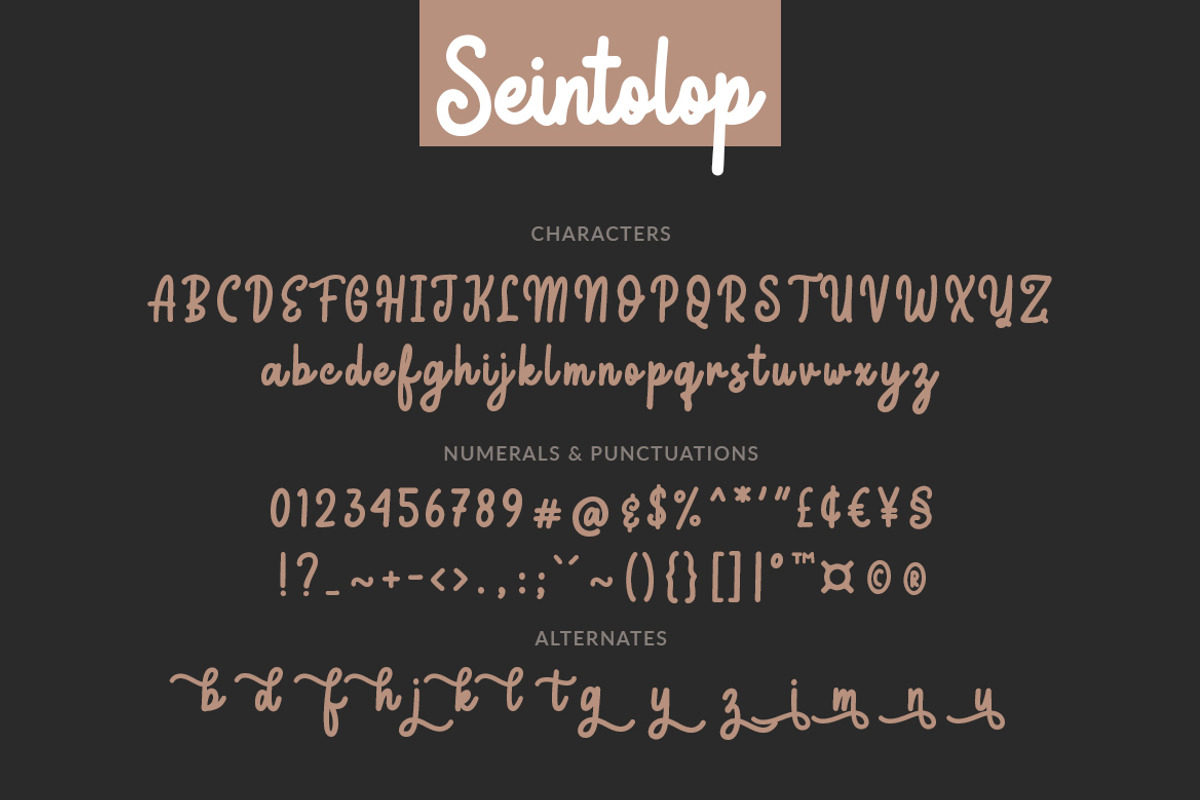 Seintolop preview 8