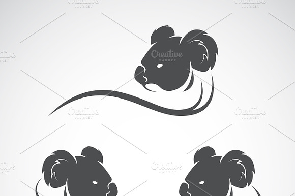 Vector Of Koala Bear Design. Animal.