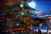 Fir Tree, an Environmental 3D Model by Game-Ready Studio (Thumbnail 5 of 5)