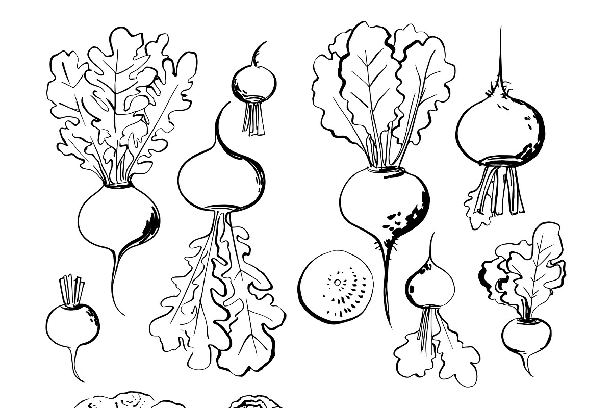 Vegetables vector sketch watercolor, a Food Illustration by irina.vaneeva (Photo 15 of 18)