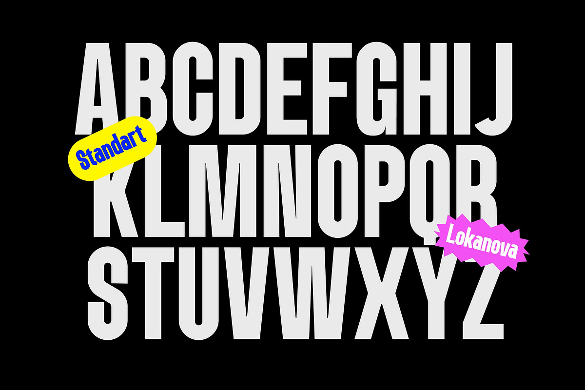Lokanova - Modern Bold Font, a Sans Serif Font by limitype (Photo 5 of 17)