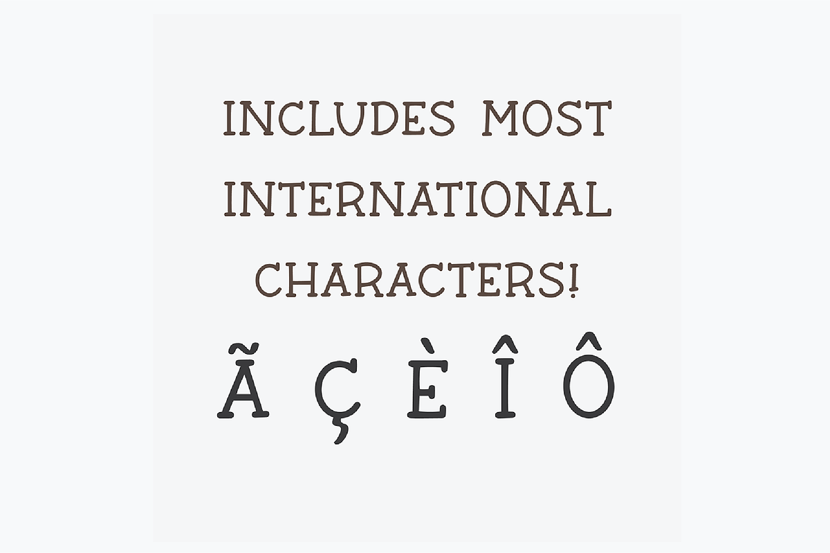 BARN ACRE Farmhouse Serif Font, a Serif Font by Blush Font Co. (Photo 7 of 7)