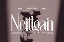 Neittgan Elegant Ligature Serif Font
