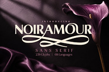Noir Amour - Sans Serif Typeface