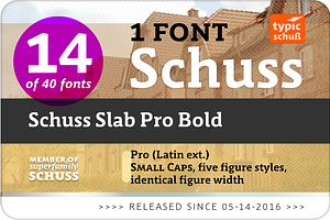 SchussSlabProBold No.14 1 Font