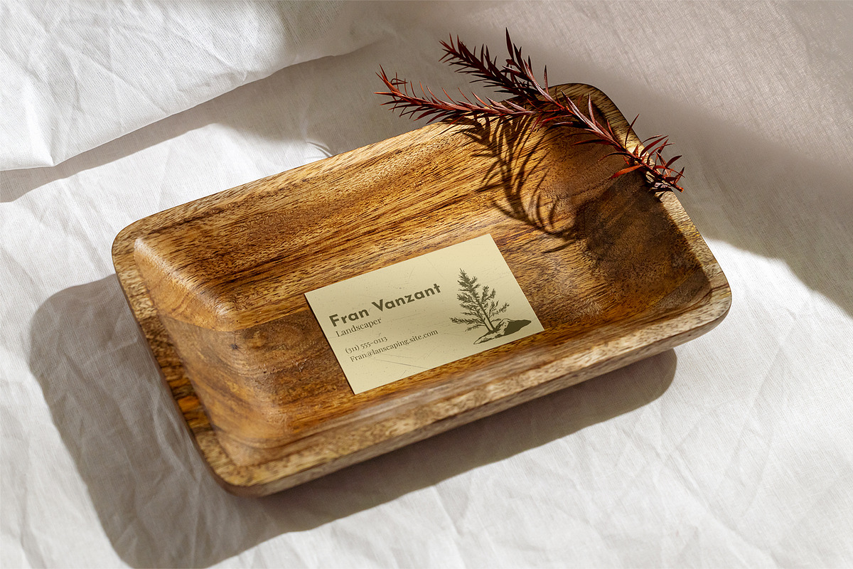 Island Pine Trees | Illustrations, an Object Illustration by Max Lockwood (Photo 6 of 10)