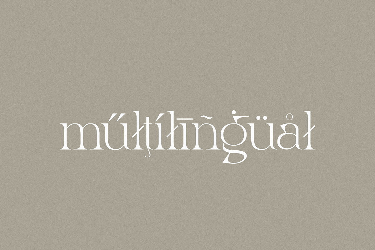 Night Whispers - Elegant Serif, a Serif Font by Mikhail Kitsune (Photo 10 of 10)
